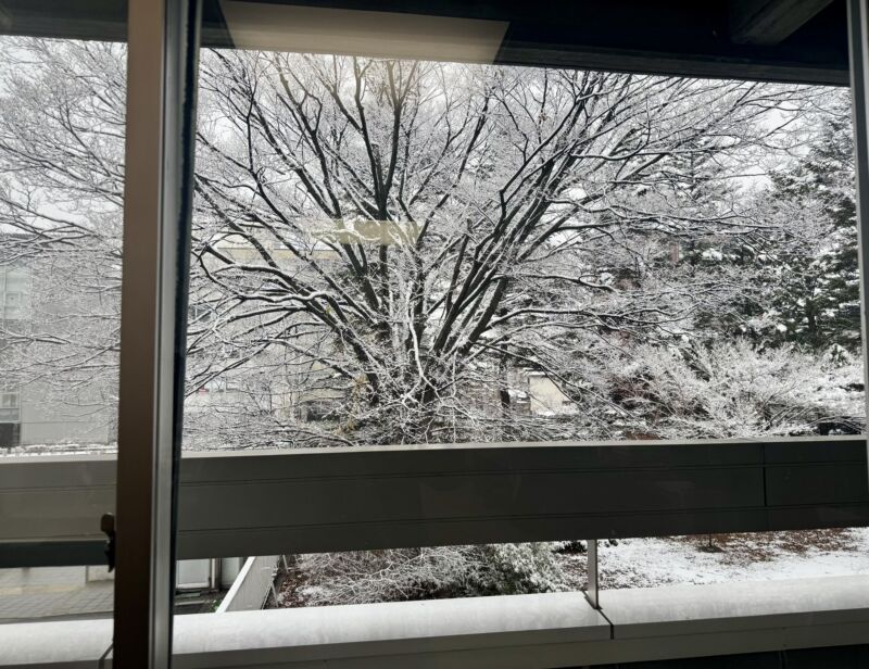 Image for the Tweet beginning: 12月5日
長野県議会定例会 折り返し
来週からは、委員会質疑に入ります。
訪問活動を通して頂いた地域課題をしっかりお伝えし、解決のための議論を深めて参ります。 